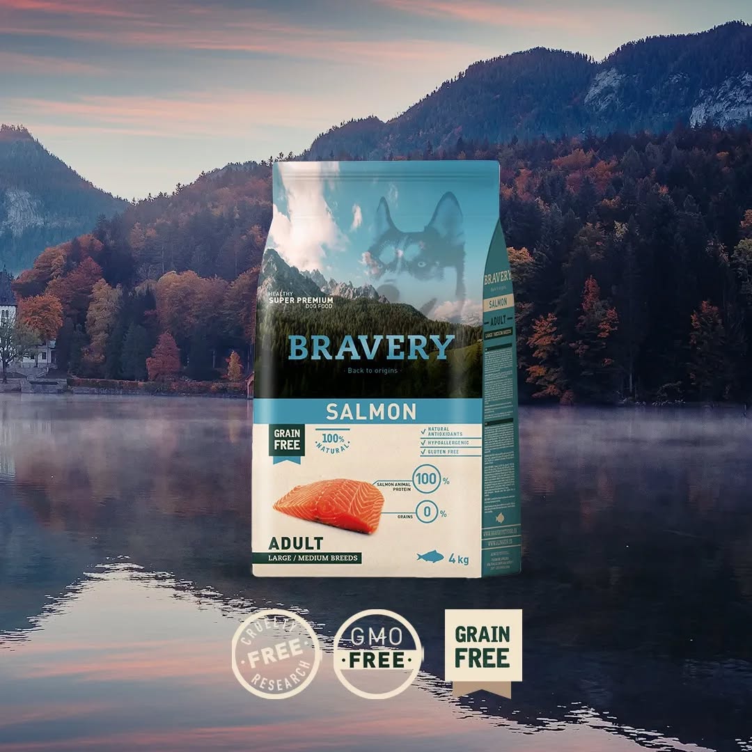 BRAVERY SALMON ADULT LARGE/MEDIUM BREEDS