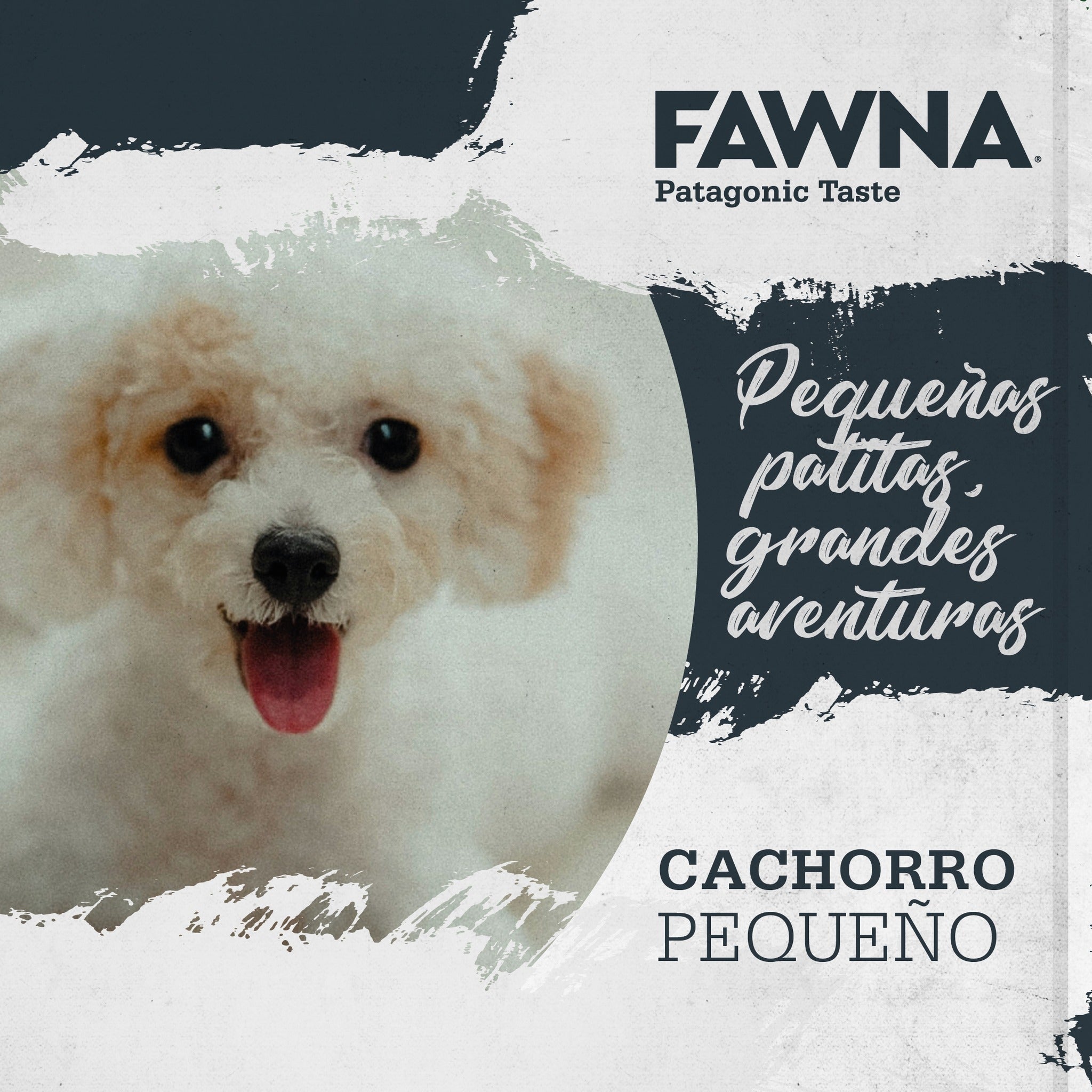 FAWNA DOG PUPPY SMALL BREED