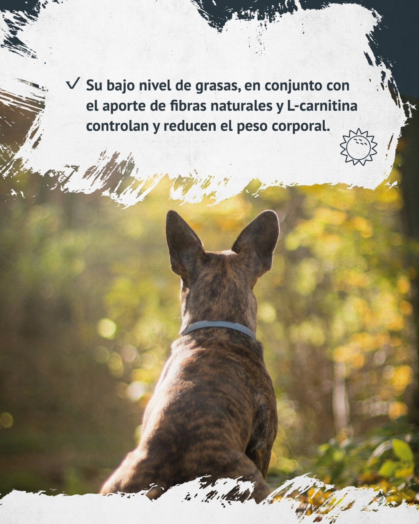 FAWNA DOG ADULT LIGHT