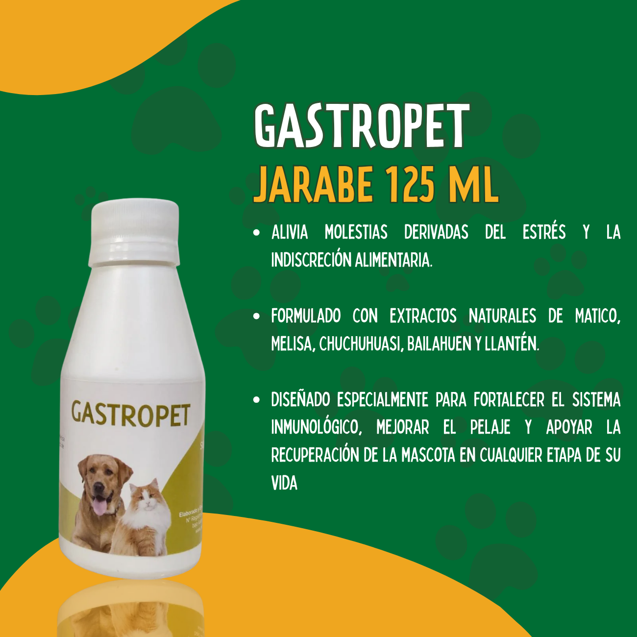 GASTROPET: Jarabe Natural para el Cuidado Gástrico de Mascotas