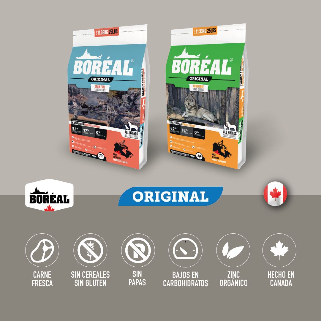 BOREAL PERRO ORIGINAL SALMON