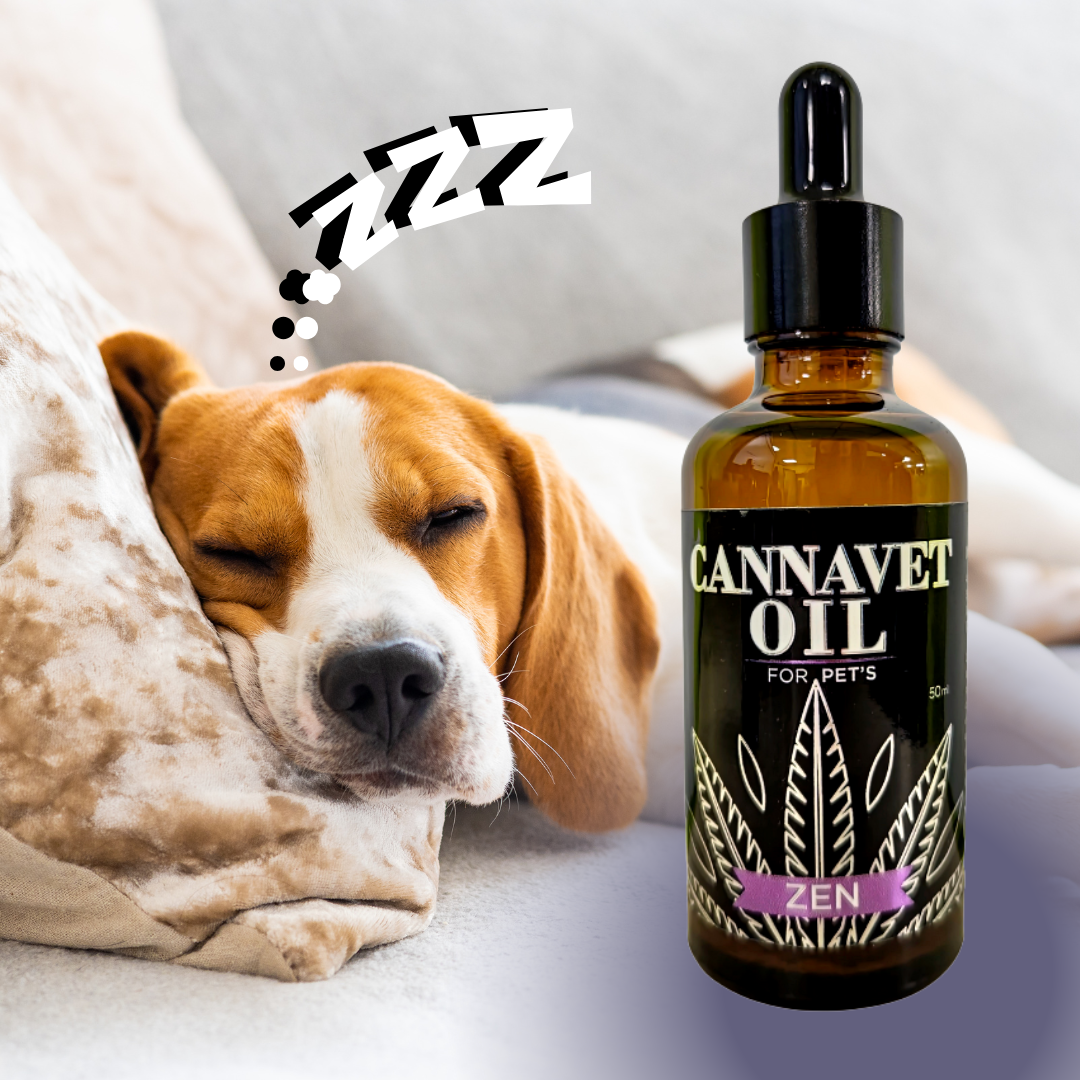 CANNAVET OIL ZEN: Aceite Calmante para Mascotas