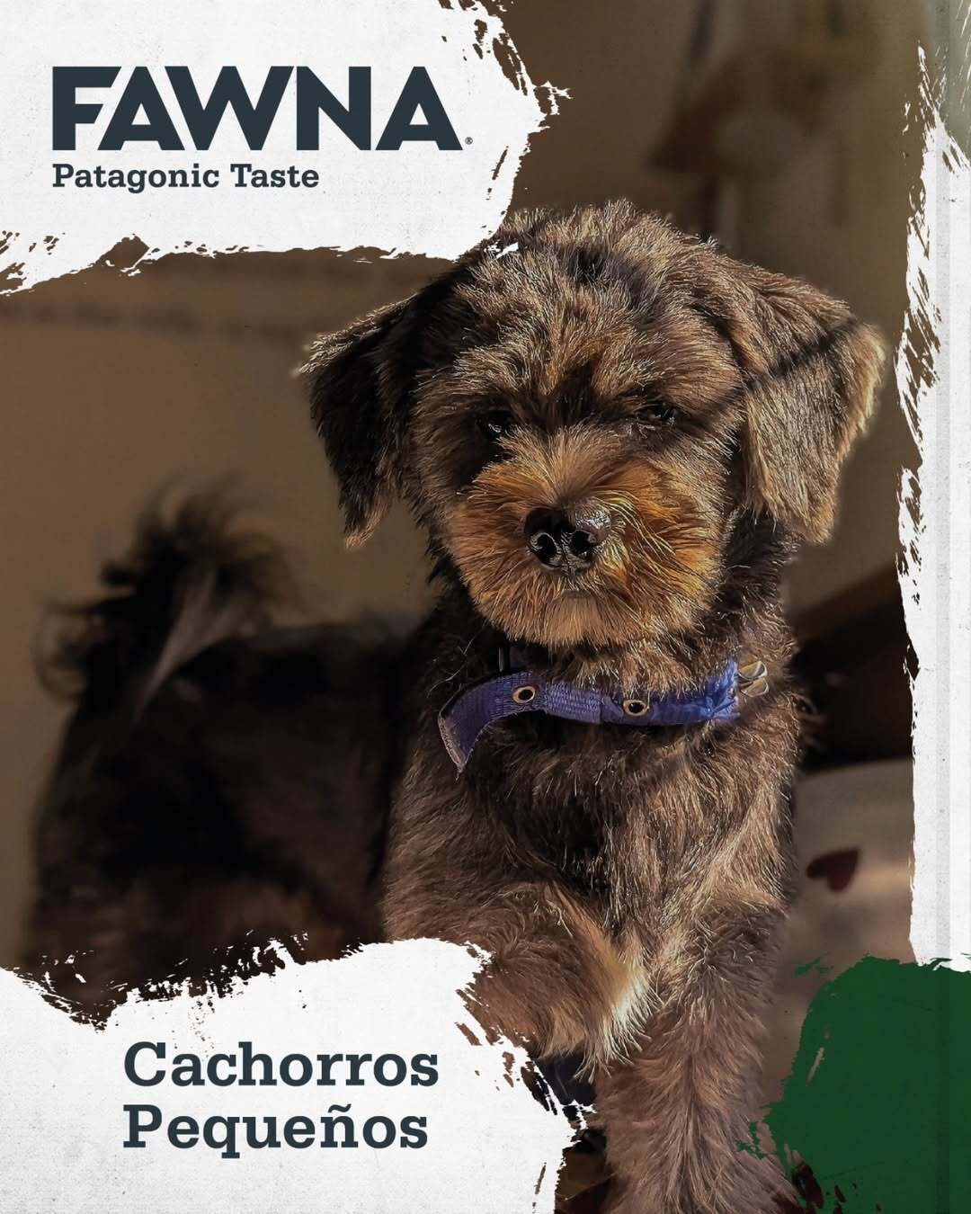 FAWNA DOG PUPPY SMALL BREED