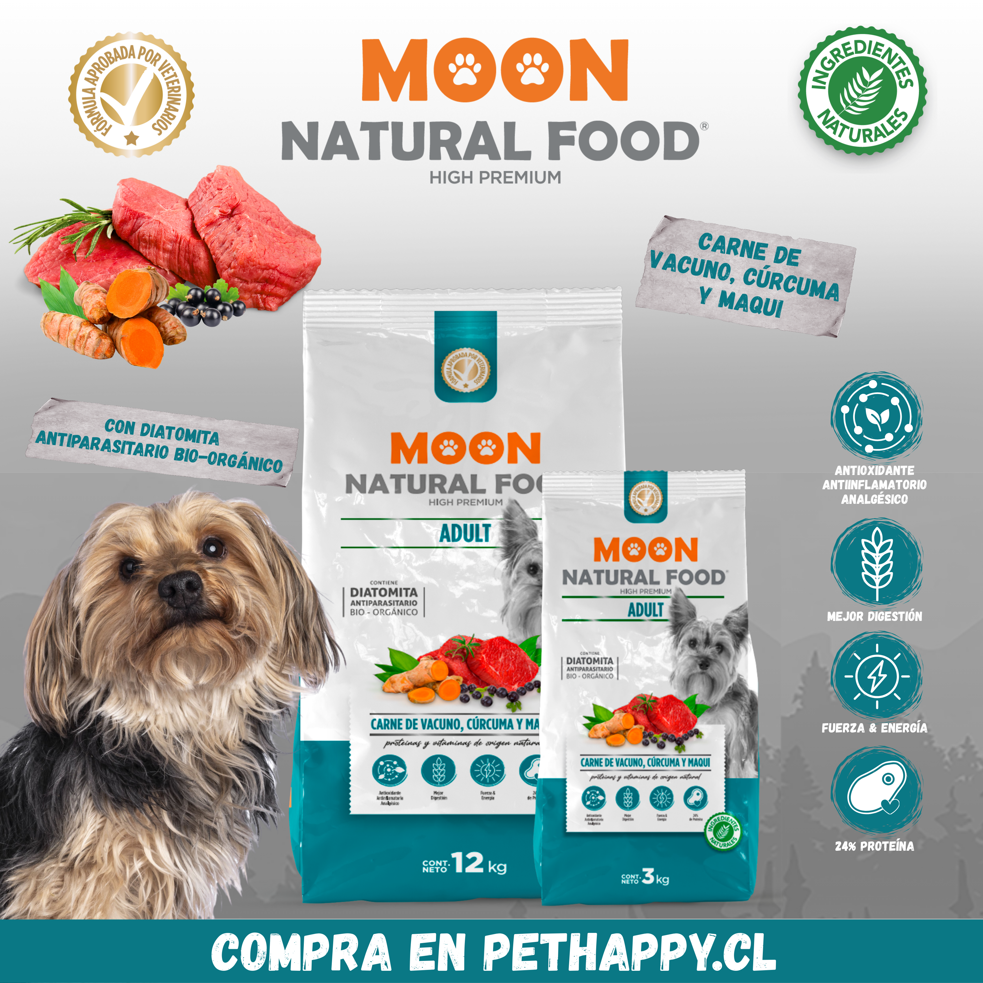 Perro adulto raza mediana con pelaje brillante y saludable después de alimentarse con MOON Adulto sabor vacuno.