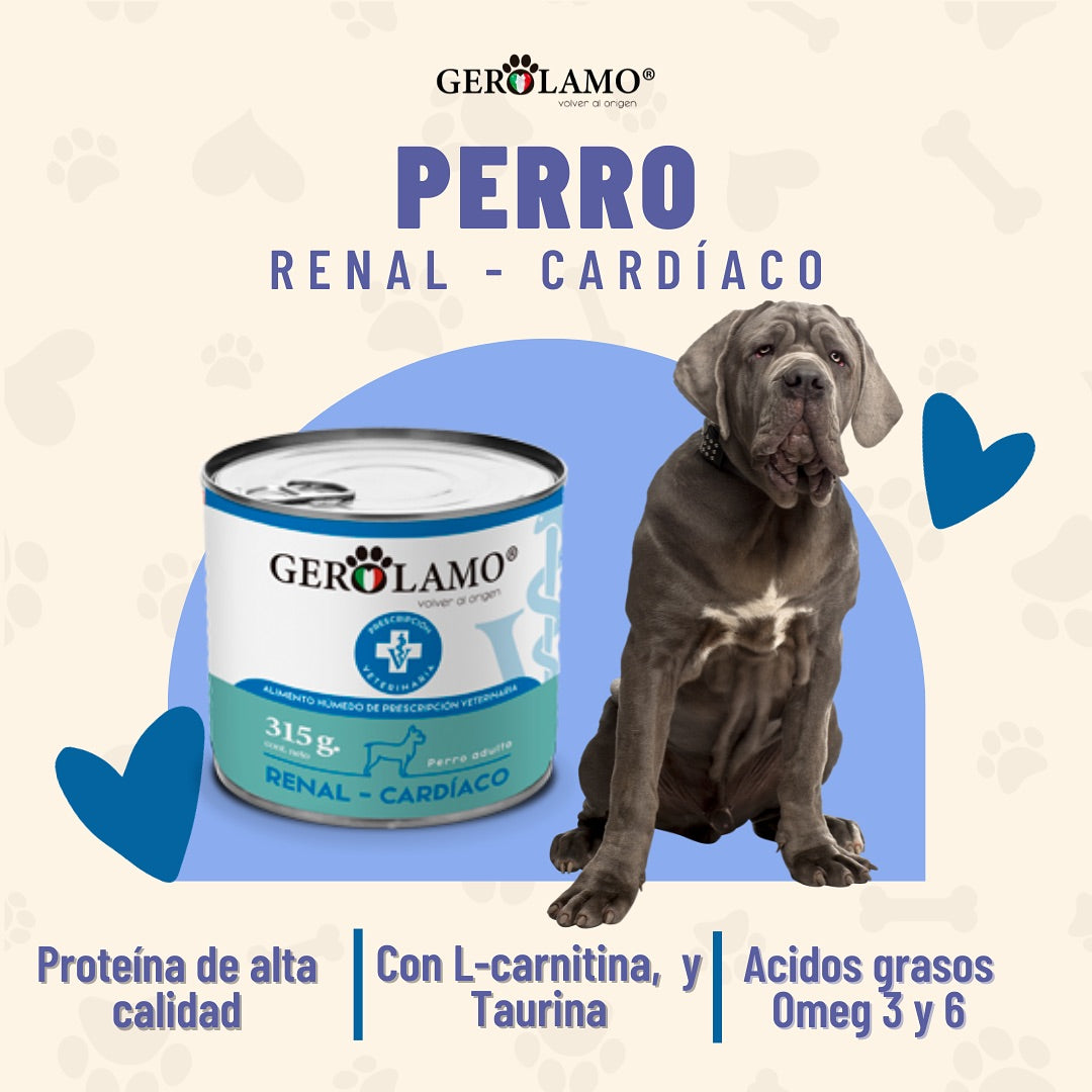 GEROLAMO LATA RENAL-CARDIACO PERRO