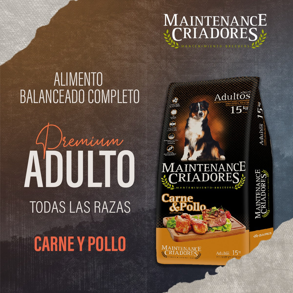 MAINTENANCE CRIADORES ADULTO
