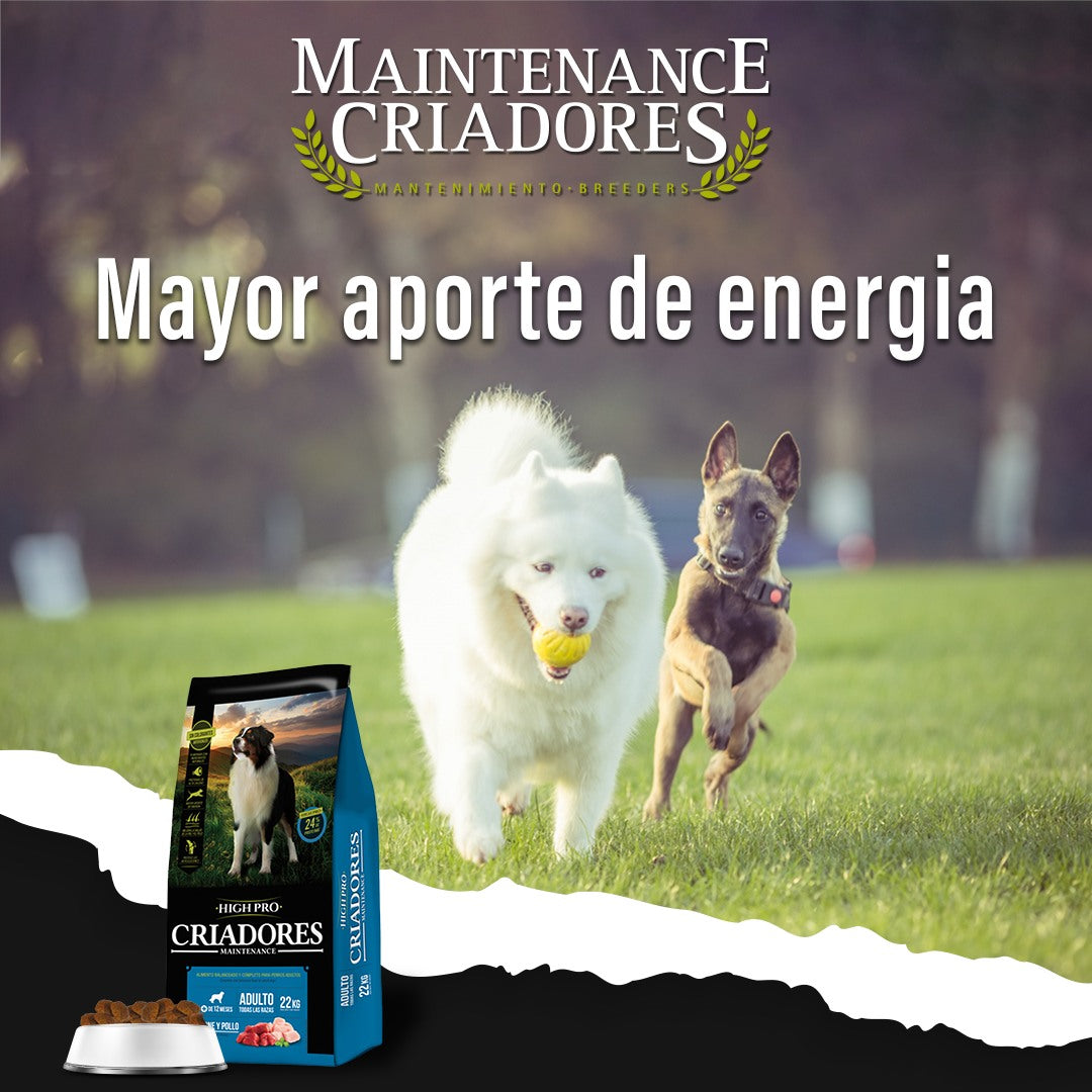 CRIADORES HIGH PRO 22 + 2 kg de Regalo