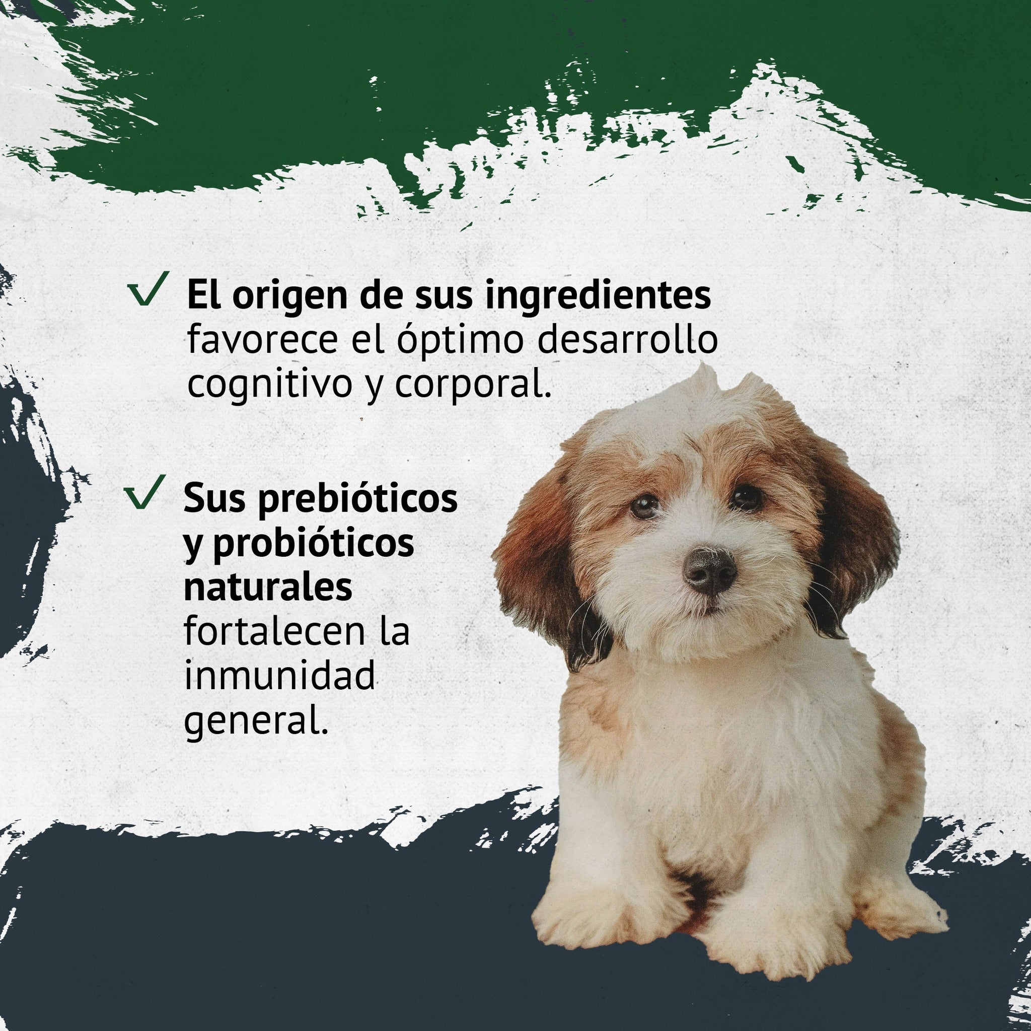 FAWNA DOG PUPPY SMALL BREED