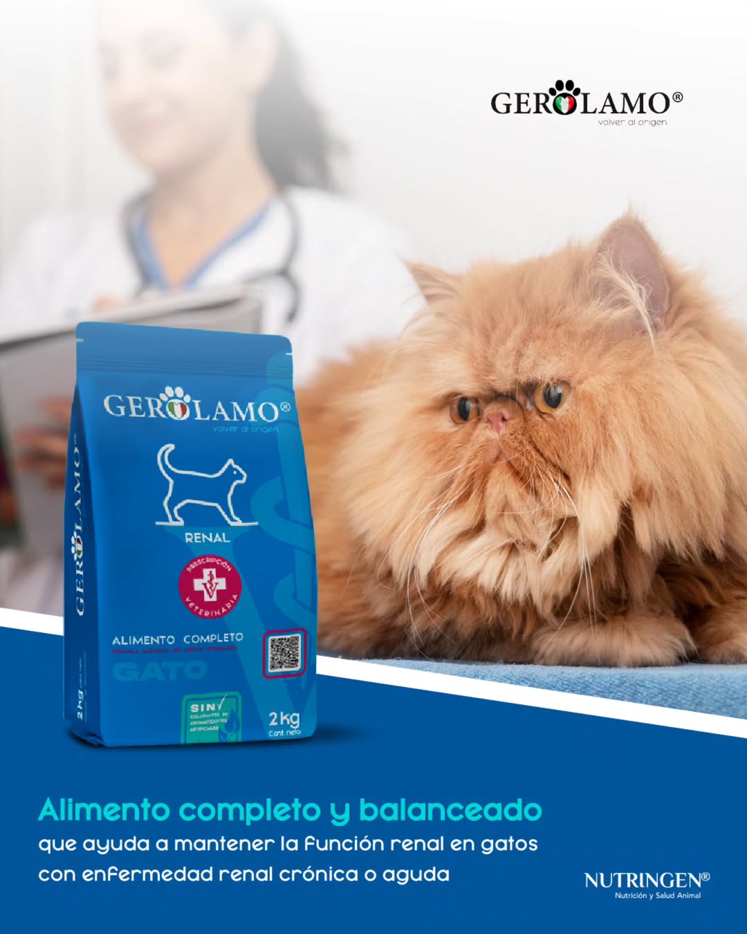 GEROLAMO GATO ADULTO RENAL