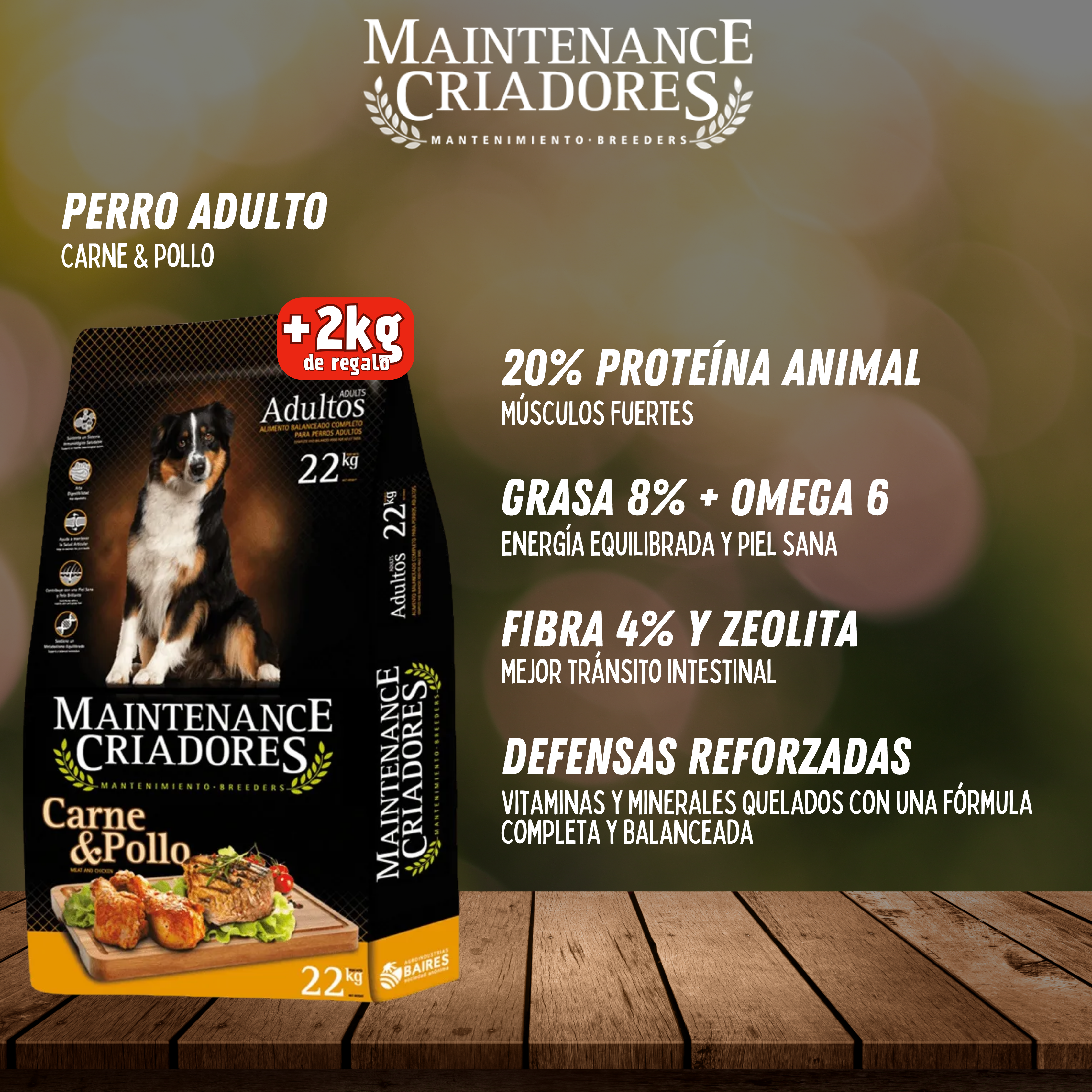 MAINTENANCE CRIADORES ADULTO