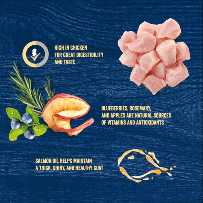 BRIT PREMIUM BY NATURE ADULT MEDIUM