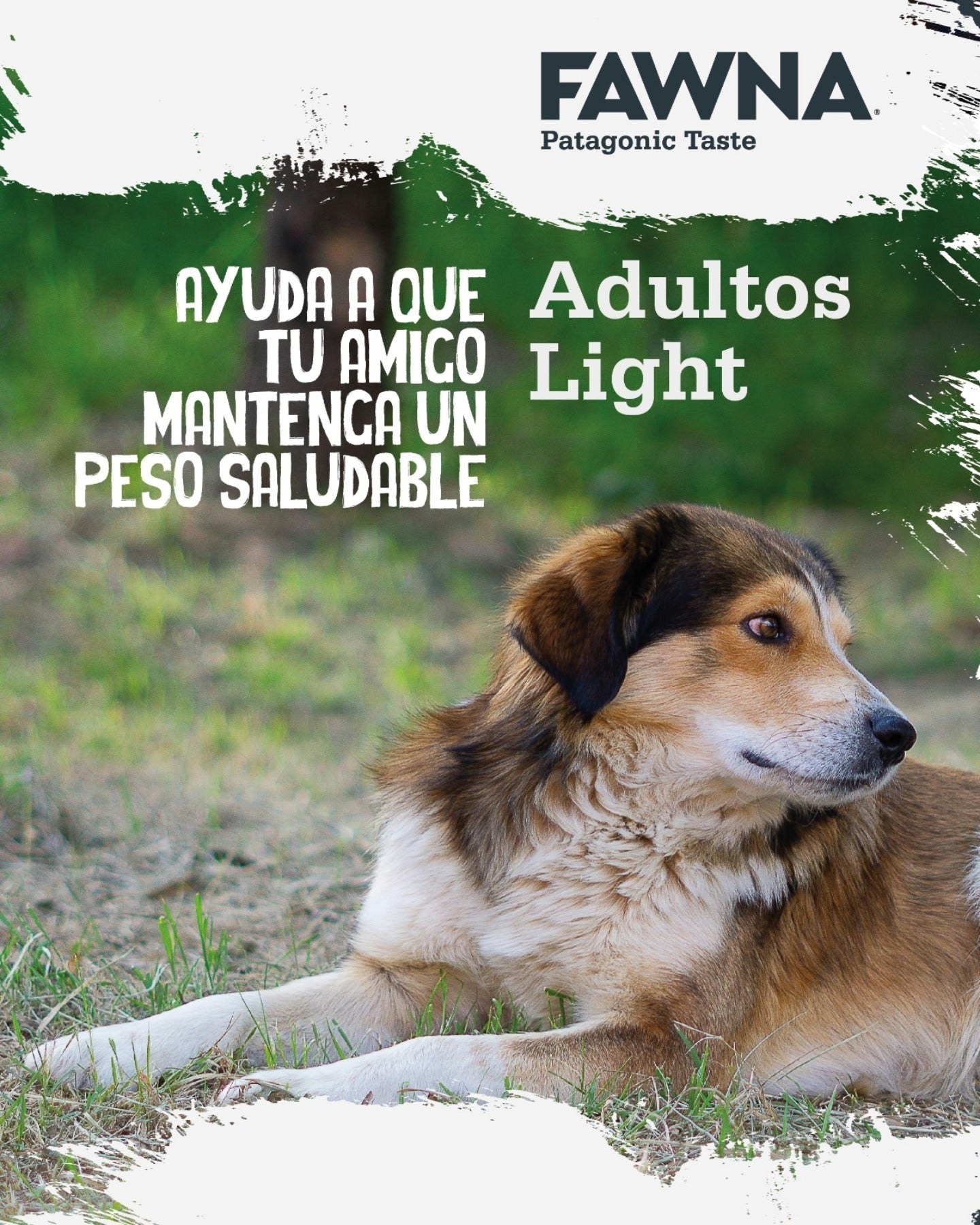 FAWNA DOG ADULT LIGHT