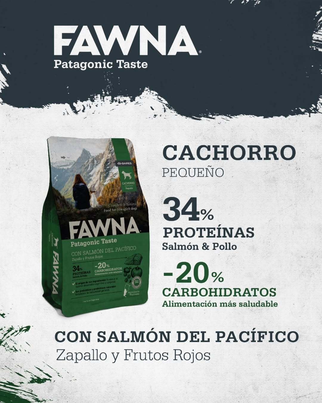 FAWNA DOG PUPPY SMALL BREED