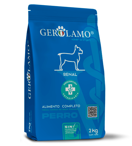 Perro senior disfrutando Gerolamo Renal