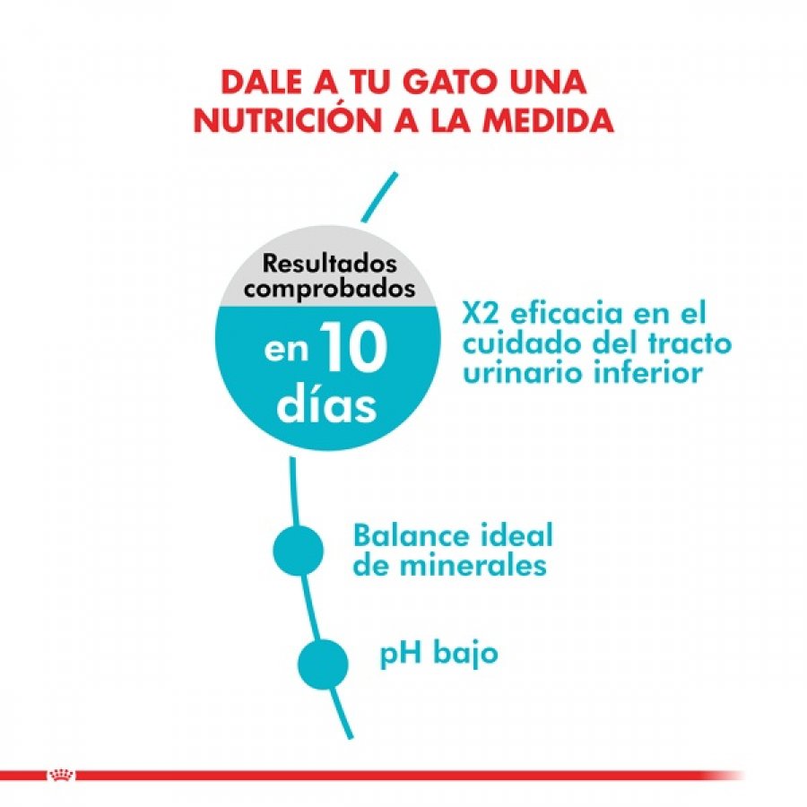 balance ideal de minerales